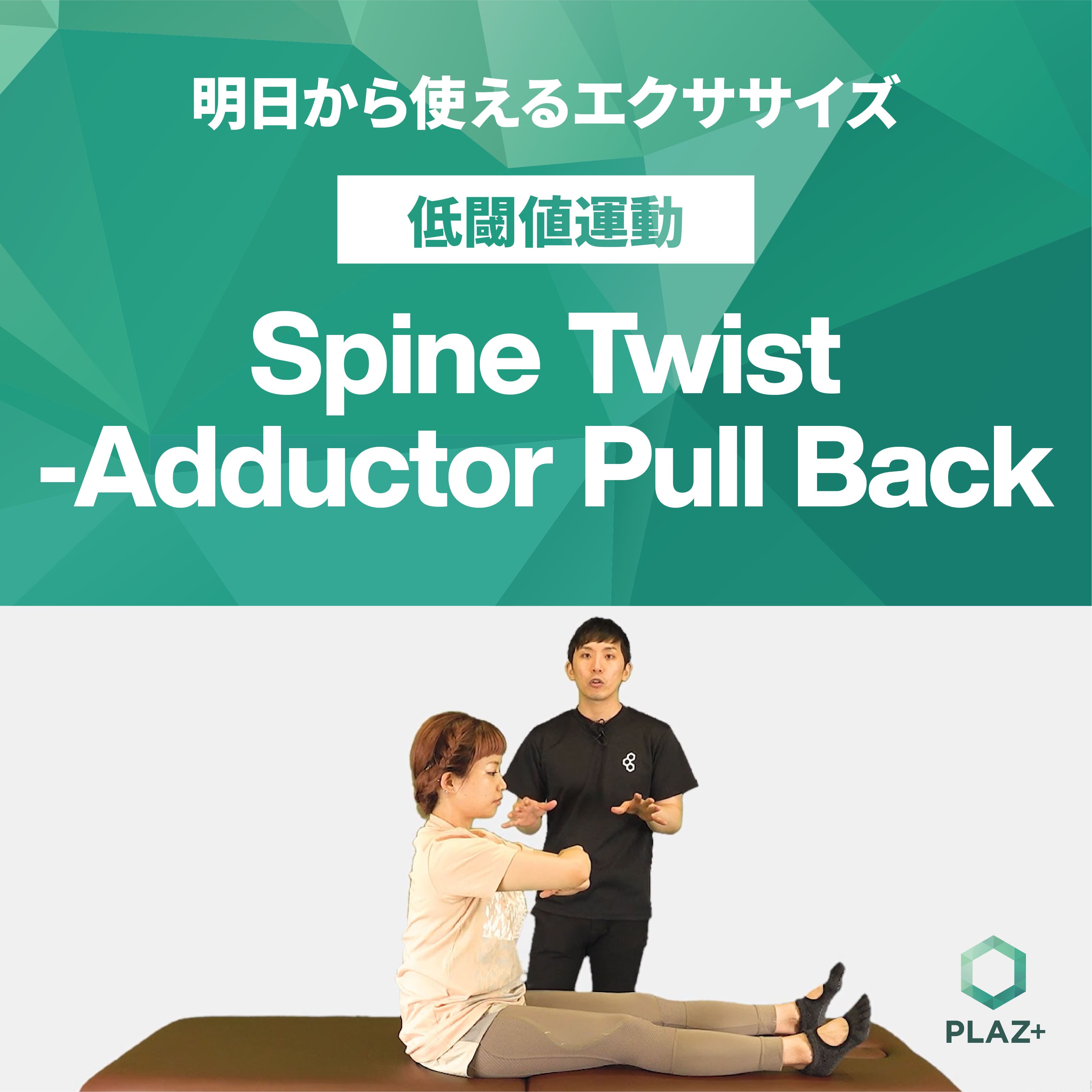 Spine Twist-Adductor Pull Back