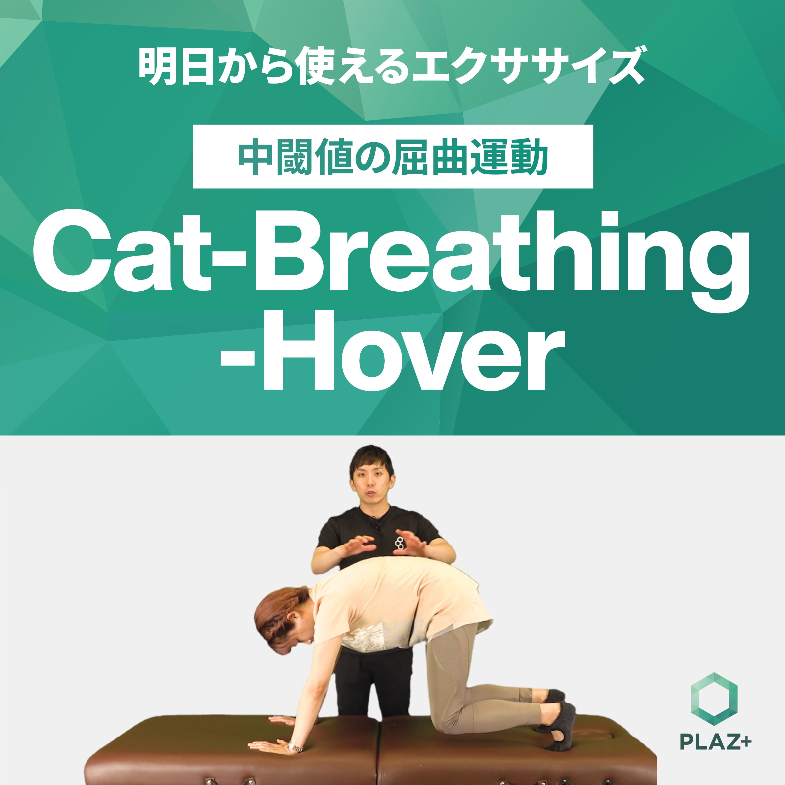Cat-Breathing-Hover