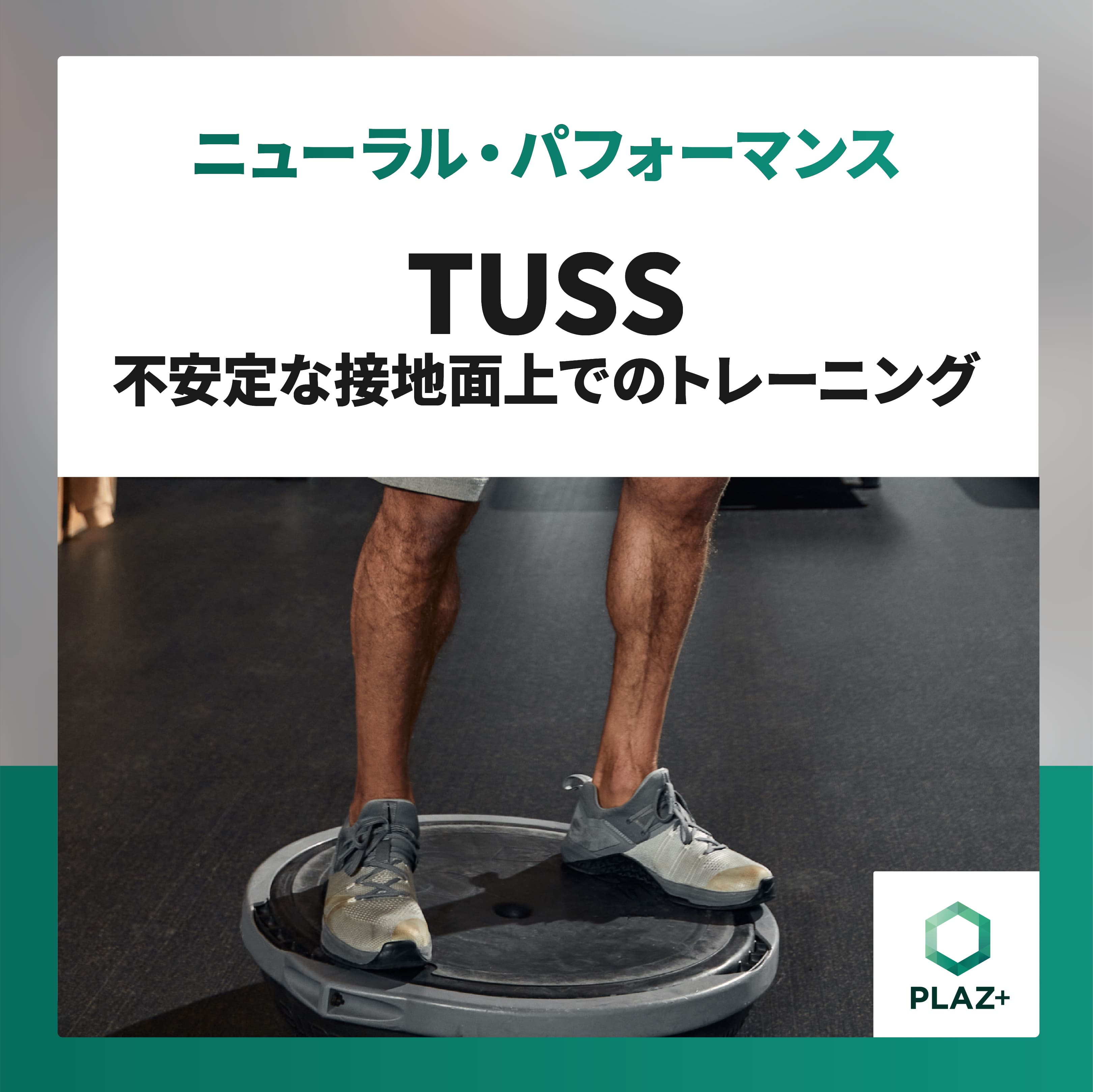 TUSS - 不安定な接地面上でのトレーニング