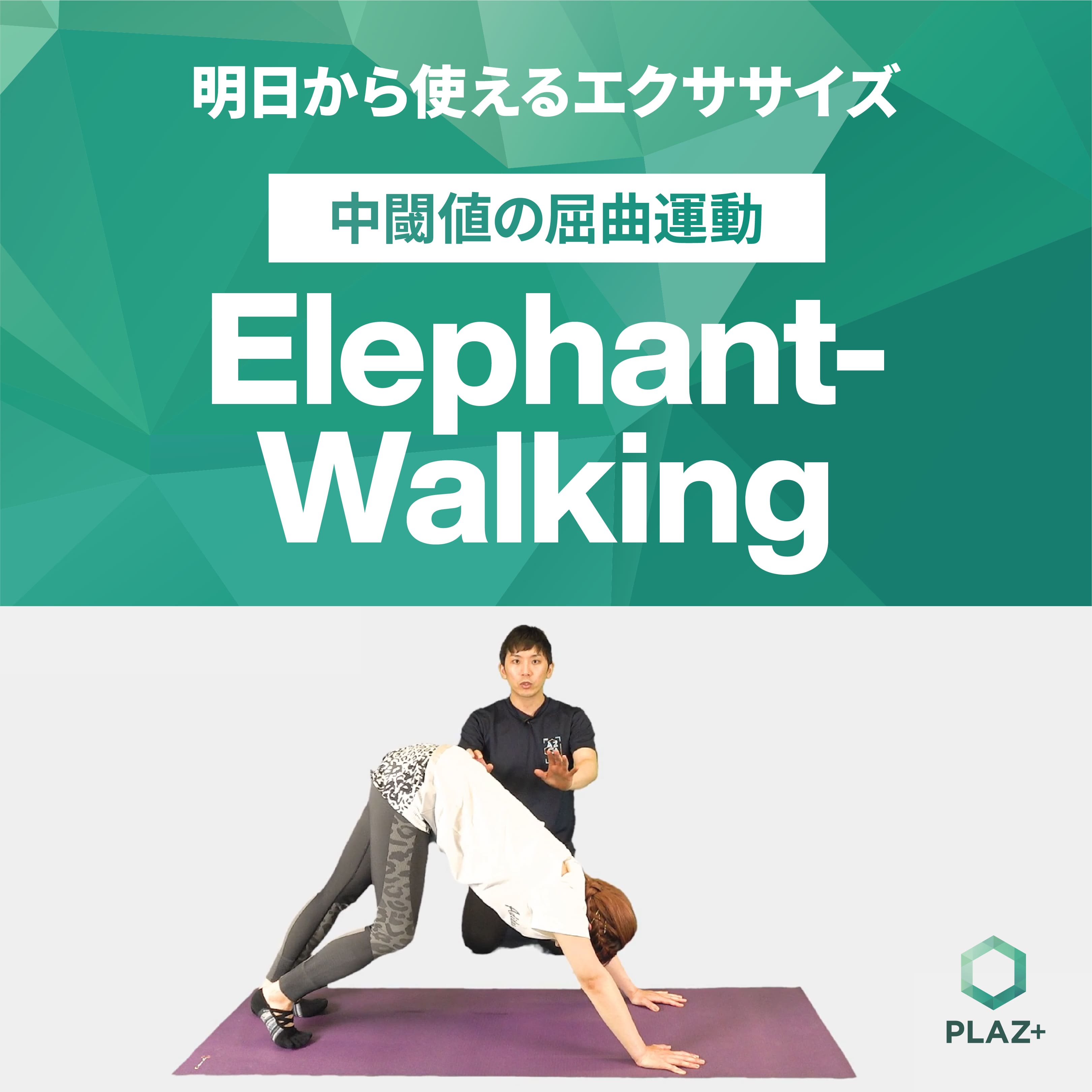 Elephant-Walking