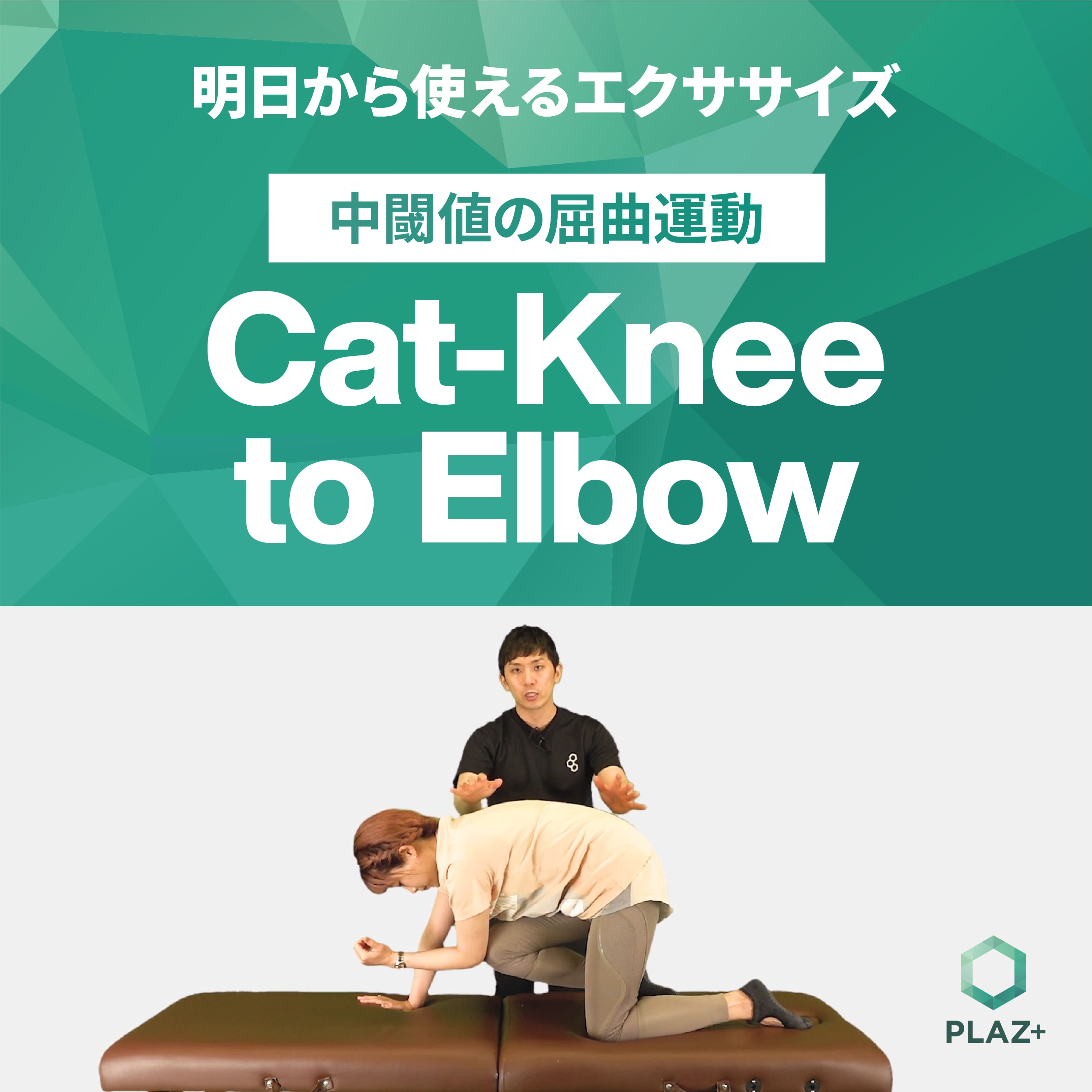 Cat-Knee to Elbow