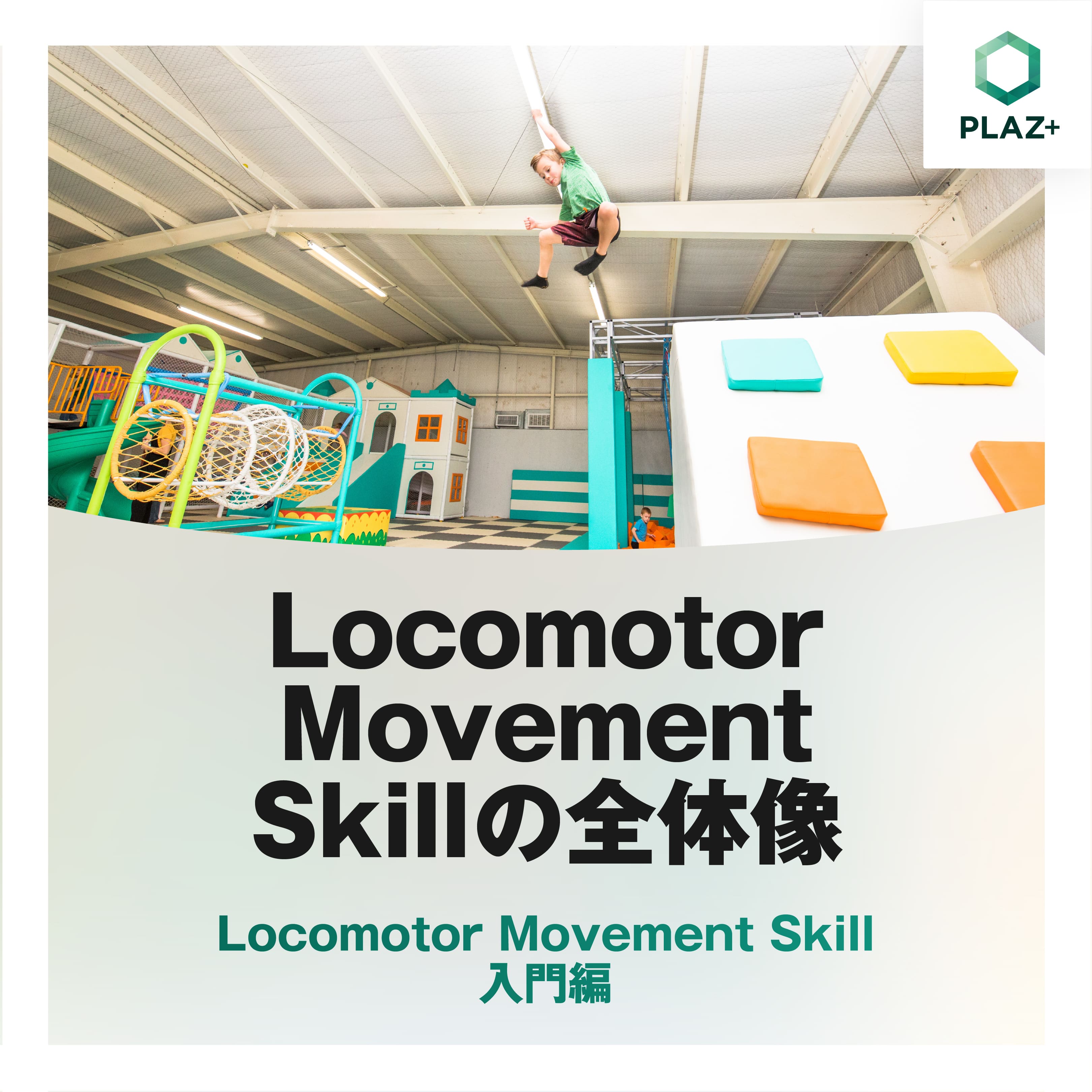 Locomotor Movement Skillの全体像