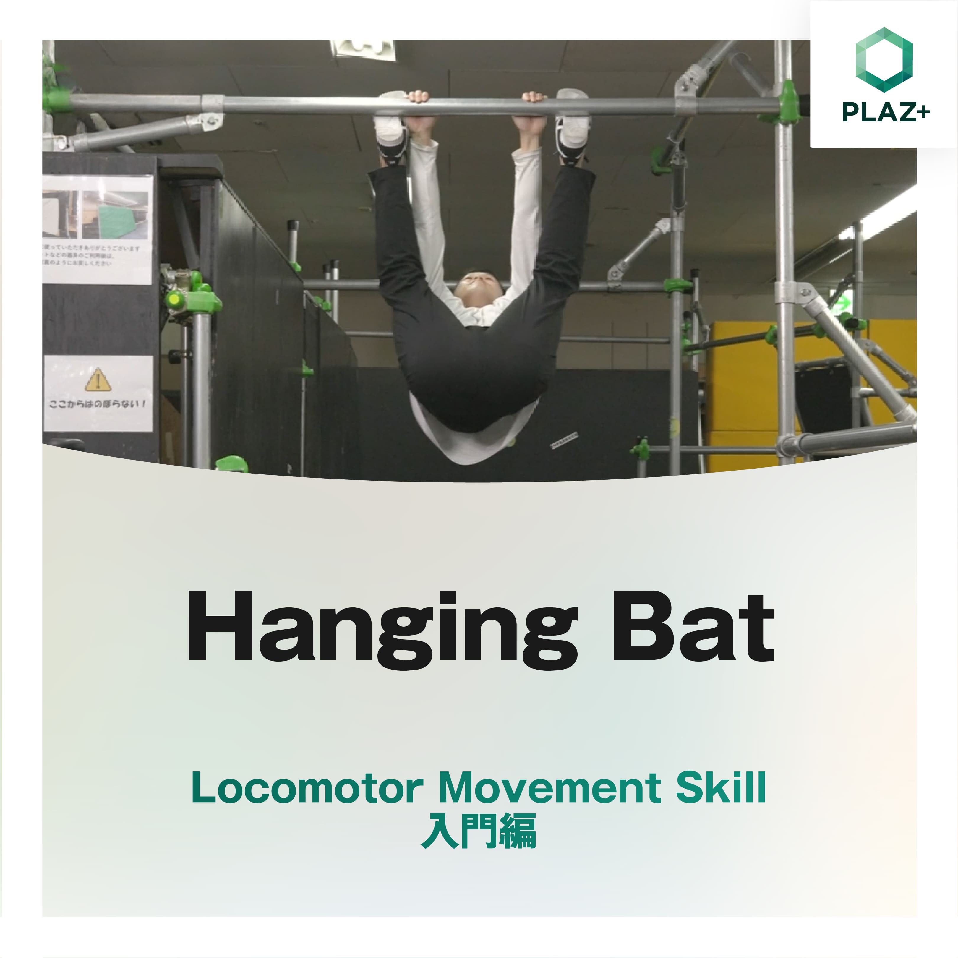 Hanging Bat