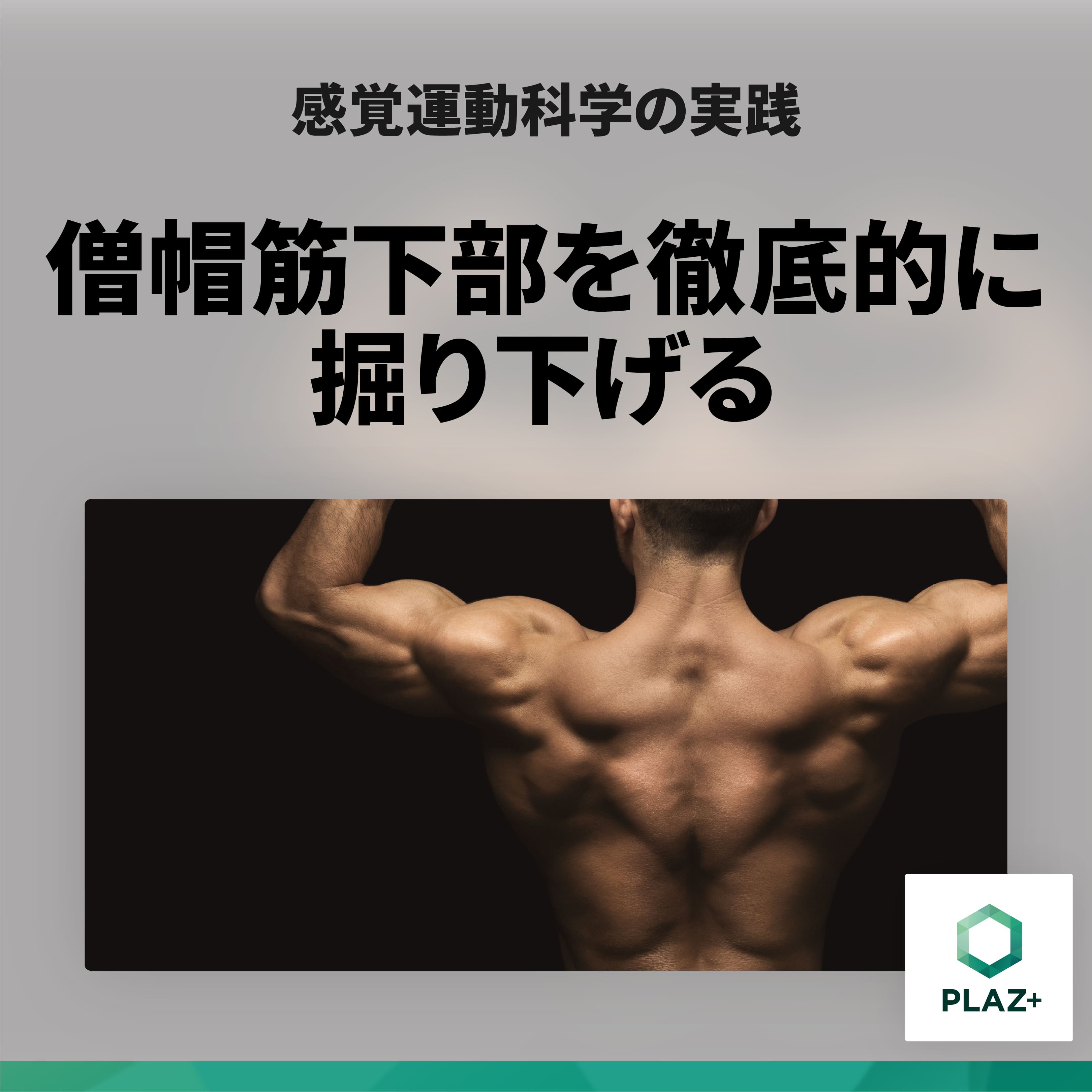 僧帽筋下部を徹底的に掘り下げる