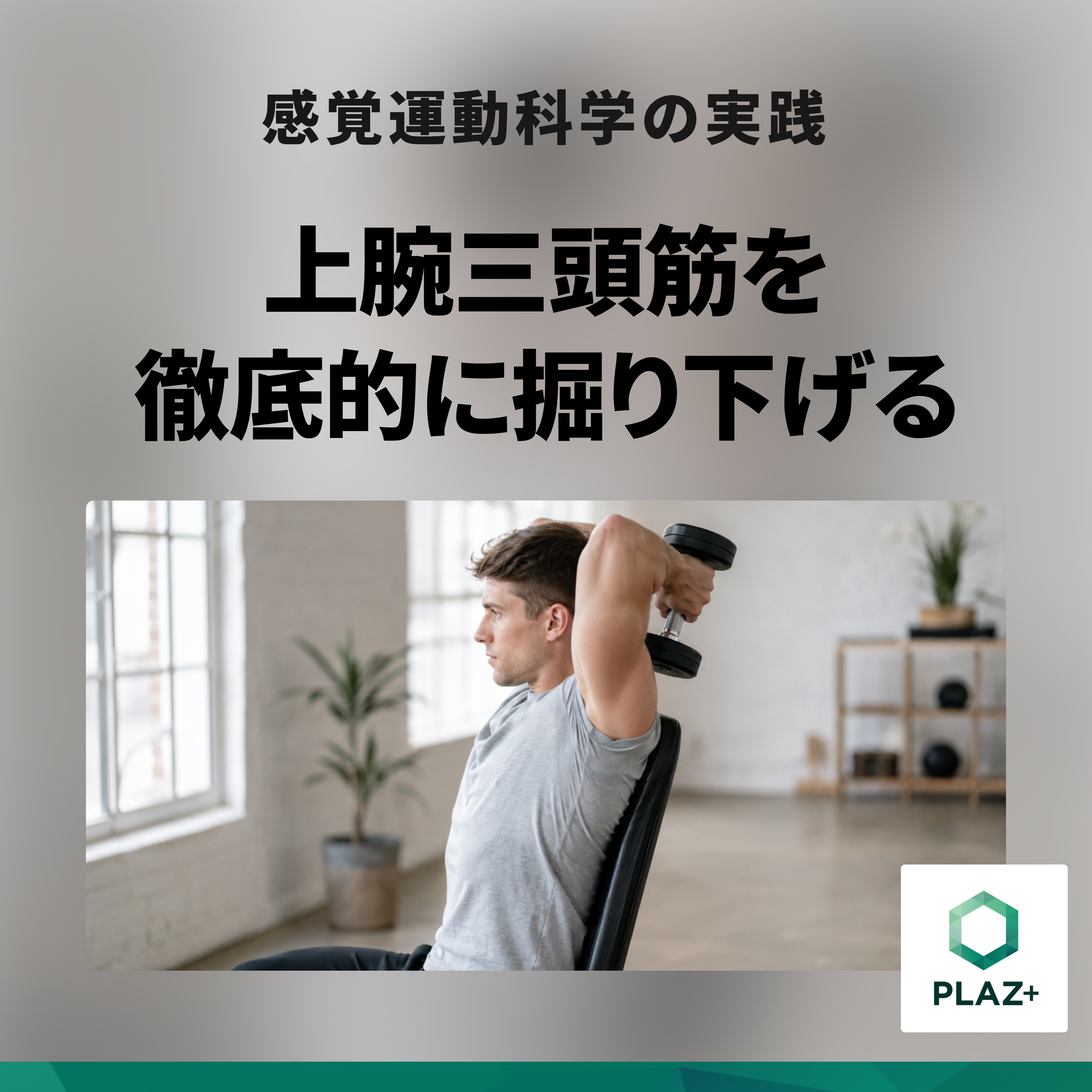 上腕三頭筋を徹底的に掘り下げる