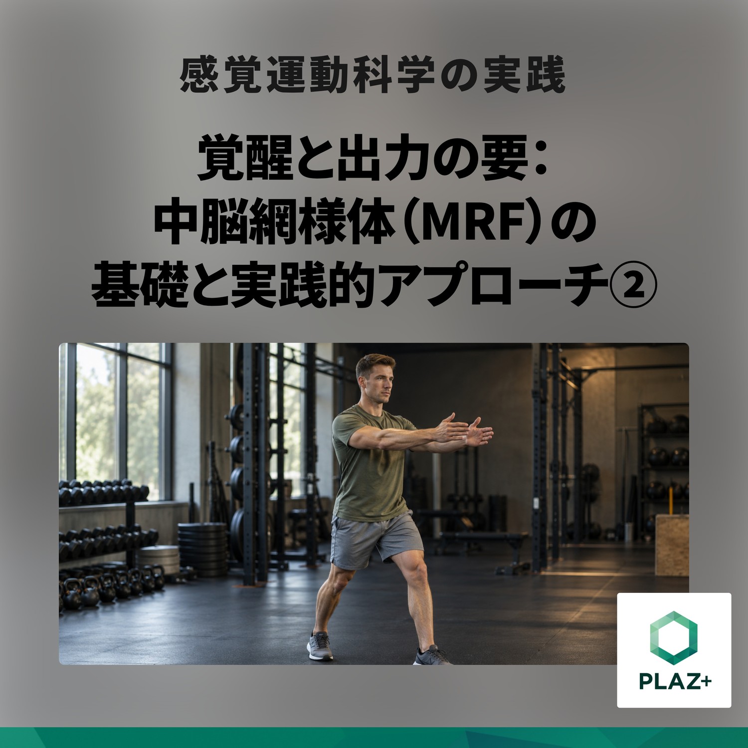 覚醒と出力の要：中脳網様体（MRF）の基礎と実践的アプローチ②