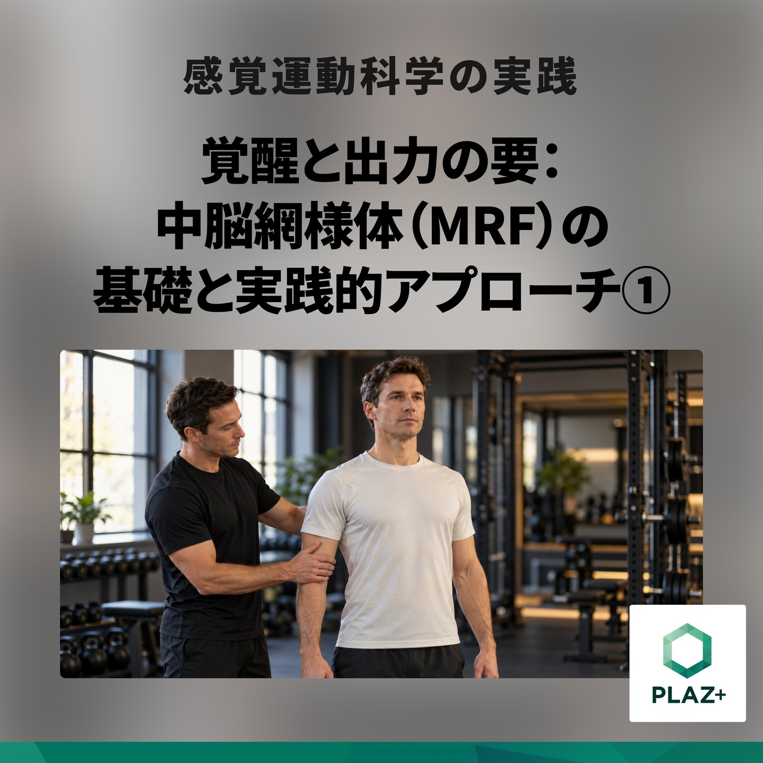 覚醒と出力の要：中脳網様体（MRF）の基礎と実践的アプローチ①